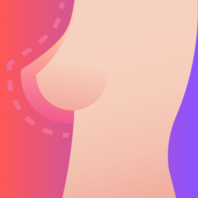 Plastic Surgery WordPress